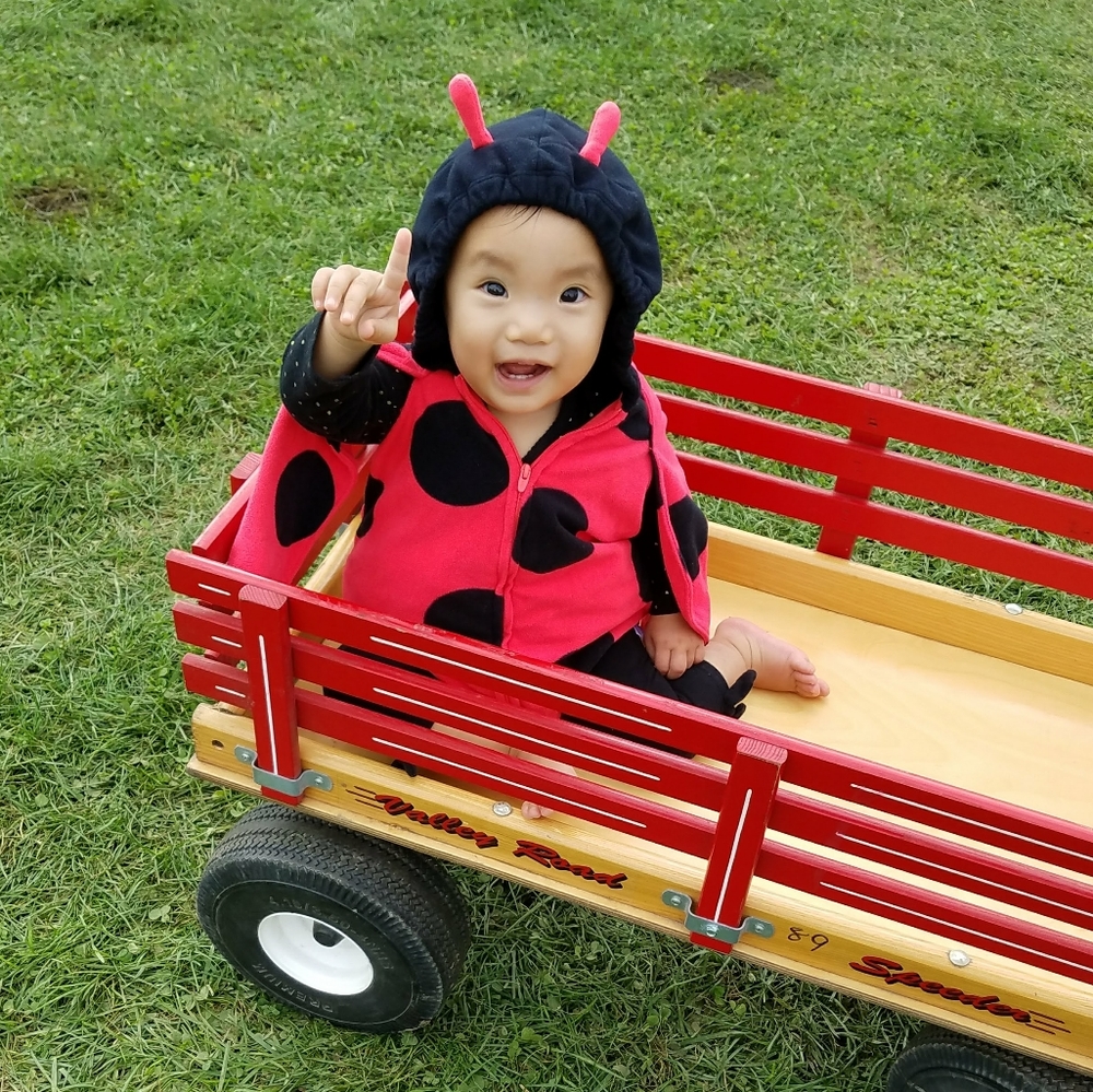 Ladybug Halloween costume 12 Months Toddler
